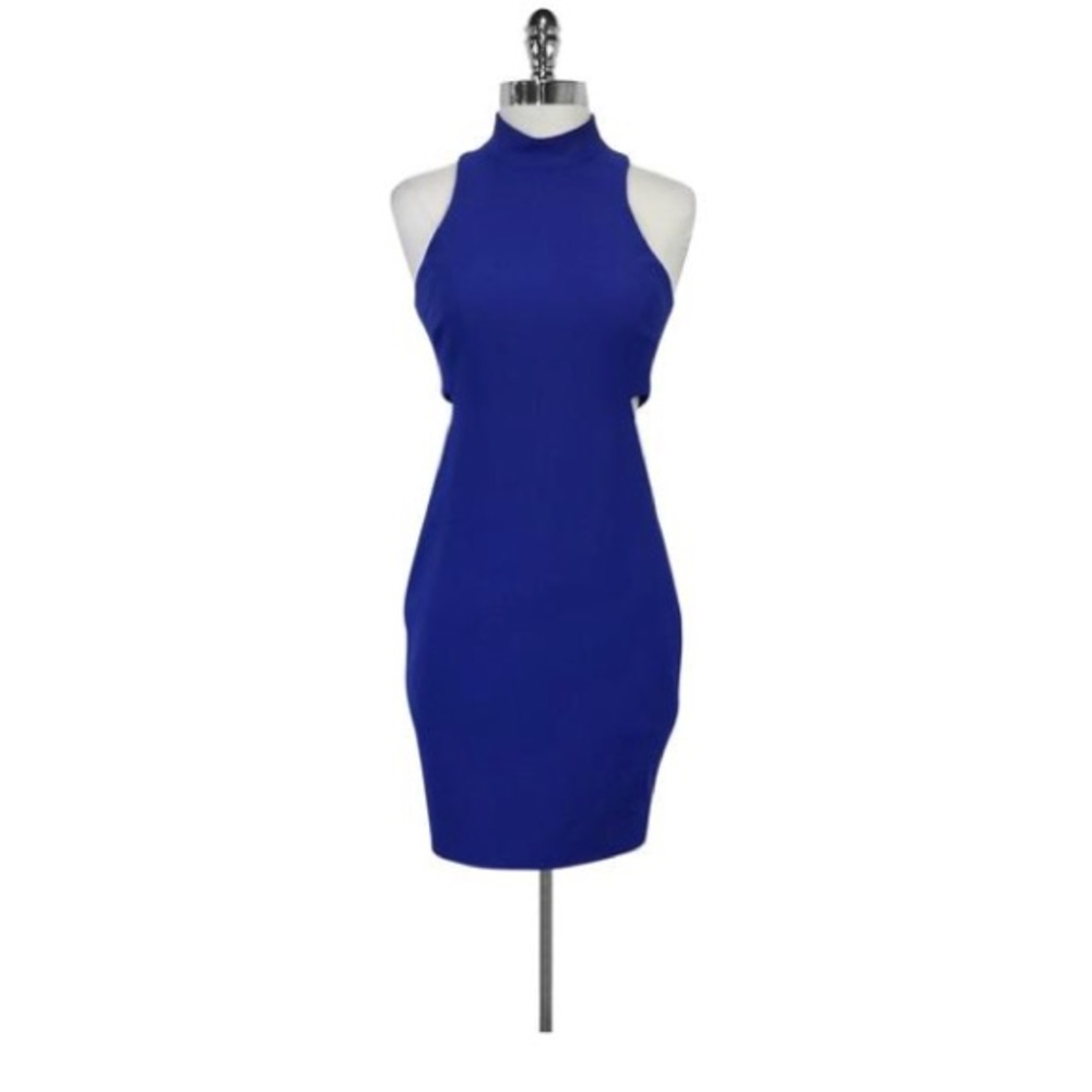 NWT Elizabeth and James Dress